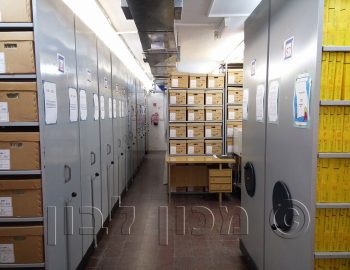 מכון לבון - מגנזה