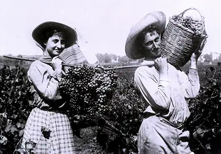 אוסף סוסקין