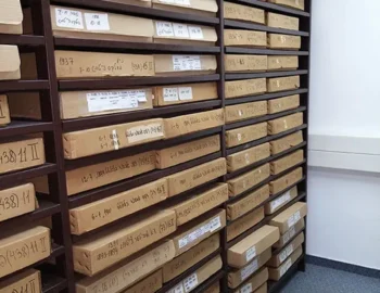 שירותי צילום והעתקה